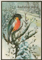 VOGEL Tier Vintage Ansichtskarte Postkarte CPSM #PAN031.A - Oiseaux