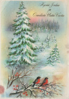 OISEAU Animaux Vintage Carte Postale CPSM #PAM974.A - Vögel