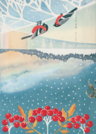 OISEAU Animaux Vintage Carte Postale CPSM #PAN015.A - Birds