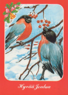 PÁJARO Animales Vintage Tarjeta Postal CPSM #PAM922.A - Vögel