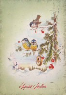 BIRD Animals Vintage Postcard CPSM #PAM866.A - Birds