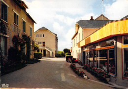 86 - La Roche Posay - Hôtel Restaurant "Le Clos Paillé" - La Roche Posay