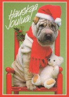 HUND Tier Vintage Ansichtskarte Postkarte CPSM #PBQ627.A - Hunde