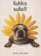 CHIEN Animaux Vintage Carte Postale CPSM #PBQ381.A - Chiens