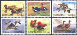 ROUMANIE 2007 - Oies Et Canards Sauvages - 6 V. Avec Vignette EFIRO 2008 - Unused Stamps