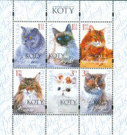 POLOGNE 2010 - Chats De Race - 6 V. - Feuillet - Blocks & Sheetlets & Panes