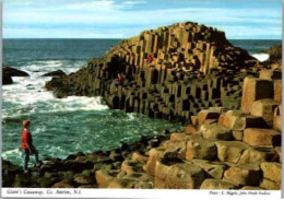 ANTRIM.  -   Giant's Causeway - Antrim