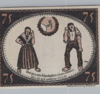 75 PFENNIG 1921 Stadt DIEPHOLZ Hanover UNC DEUTSCHLAND Notgeld Banknote #PA460 - [11] Emissioni Locali