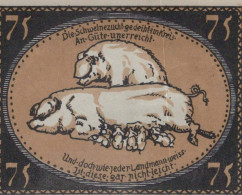 75 PFENNIG 1921 Stadt DIEPHOLZ Hanover UNC DEUTSCHLAND Notgeld Banknote #PA458 - [11] Emissioni Locali