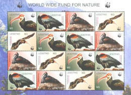 LESOTHO 2004 - W.W.F. - Southern Bald Ibis - Feuillet De 4 Séries - Unused Stamps