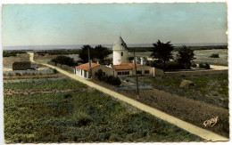 CPSM Dentelée 9 X 14 Charente Maritime ILE DE RE Ars Le Moulin Chabot - Ile De Ré