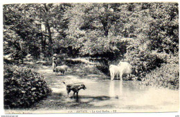 71 - ARTAIX - Le Gué Sadin    ( Saone Et Loire ) - Sonstige & Ohne Zuordnung