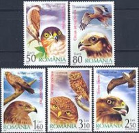 ROUMANIE 2007 - Oiseaux- Rapaces - 5 Timbres - Águilas & Aves De Presa