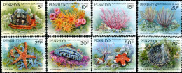 PENRHYN 1993 - Faune Marine- Invertébrés - 8 V. - Marine Life