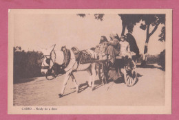 Egypt, Le Caire, En Route Por La Promenade. Ready For A Drive- Transportation Cart Pulled By Donkey- - Andere & Zonder Classificatie