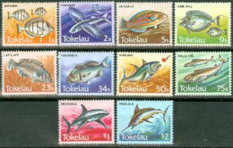 TOKELAU 1984 - Série Courante - Poissons Du Pacifique - 10 V. - Pesci