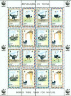 TCHAD 1996 - W.W.F. - Autruche Strutio Camelus - Feuillet - Unused Stamps