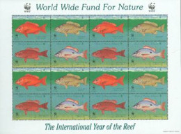 TURK & CAICOS 1998 - WWF - Poissons Des Récifs - Feuillet - Fische