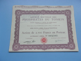 PHOSPHATES DU TONKIN (1924) - Other & Unclassified