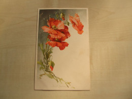 Carte Postale Ancienne En Relief  1906 CATHARINA KLEIN Roses - Klein, Catharina