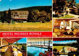 72900091 Hinterzarten Hotel Weisses Roessle Tennisplatz Hallenbad Terrasse Kamin - Hinterzarten