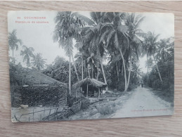 VIET-NAM INDOCHINE COCHINCHINE  SAIGON PLANTATIONS DE COCOTIERS ENVOYEE DE GIANDINH - Viêt-Nam