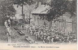 VILLERS COTTERETS ( 02 ) - La Meute Attendant Le Repas - Villers Cotterets