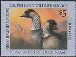 USA  2008 - Junior Duck - Oie Néné D'Hawaï - Nene Hawaian Goose - 1 V. - Gansos