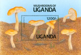 OUGANDA 1991 - Champignons - BF II - Laccaria Lateritia - Uganda (1962-...)