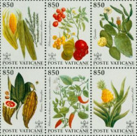 VATICAN 1992 -  Flore Du Nouveau Monde - 6 V. - Unused Stamps