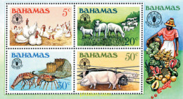 47451 MNH BAHAMAS 1981 DIA MUNDIAL DE LA ALIMENTACION - Bahama's (1973-...)