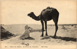 CPA AK Desert Du Sahara La Priere Du Chamelier TUNISIA (1405153) - Tunisie