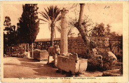 CPA AK Carthage Jardin-Colonne Sarcophages TUNISIA (1405142) - Tunisie