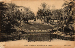 CPA AK Tunis Parterre De L'Avenue De France TUNISIA (1404982) - Tunisie