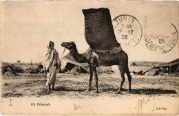 CPA AK Un Palanquin TUNISIA (1404964) - Tunisie