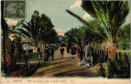 CPA AK Sousse Allee De Palmiers Dans Le Jardin Public TUNISIA (1404882) - Tunesien