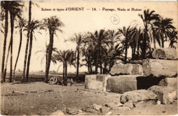 CPA AK Paysage, Noria Et Ruines SYRIA (1404269) - Syrie