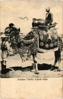 CPA AK Arabian Chiefs Camel Aden SYRIA (1404148) - Syria