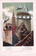 67 - Bas Rhin - STRASBOURG - STRASSBURG - Un Nid De Cigogne - Storchnest - Illustrateur - Straatsburg