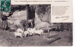 Agriculture - Les Chansons De Botrel Illustrées - Le Petit Goret  - Elevage De Cochons - Allevamenti