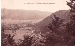 88 - Vosges - CELLES Sur PLAINE Et La Menelle - Sonstige & Ohne Zuordnung