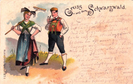 Deutschland - Bade Wurtemberg - Gruss Aus Dem SCHWARZWALD - Litho - Autres & Non Classés