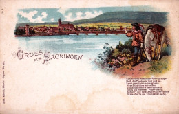 Deutschland - Gruss Aus SACKINGEN - Litho - Bad Saeckingen