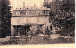 25 - Doubs -   AUDINCOURT - Chateau Des Usines Sens Roches ( Carte Toilée ) - Sonstige & Ohne Zuordnung