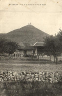 France > [07] Ardèche > Vesseaux - Vue De La Gare Et Le Pin De Sucre - 15069 - Autres & Non Classés