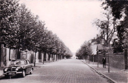 62 - Pas De Calais -  HAILLICOURT  - Rue Des Pinsons - Renault Dauphine - Rare - Other & Unclassified