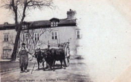 87 - Haute Vienne - Paysan Et Son Attelage Limousin - 1901 - Andere & Zonder Classificatie