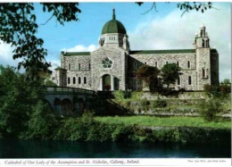 Cathedral Of Our Lady Of The Assumption And St Nicholas. - Galway