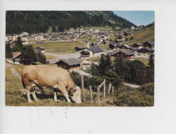 Suisse : Morgins, Vue Générale (paturage Vache) Cp N°5 Jaeger - Other & Unclassified