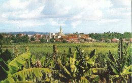 Carte Postale - Martinique - Le Lamantin - Vue Générale - Otros & Sin Clasificación